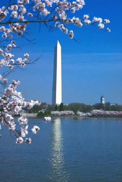 Washington Monument