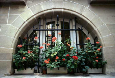Paris Window