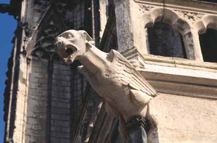 Amiens Gargoyle