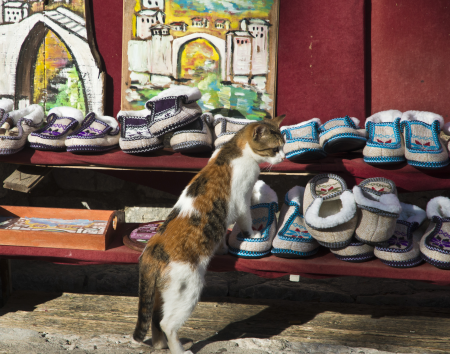 Anything in my size? (Mostar)