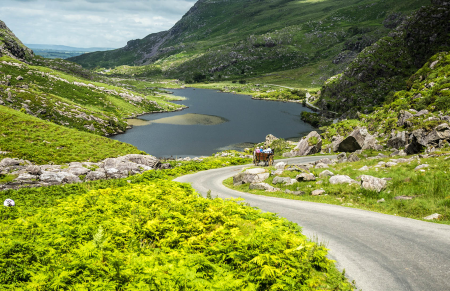 IRL3580 Killarney National Park