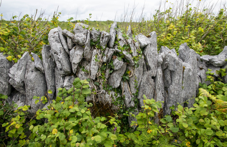 IRL3831 Traditional Dry-stone wall in the Burren