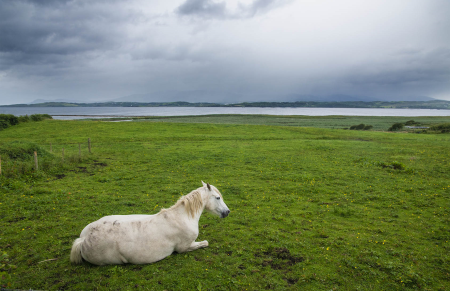 IRL4526 St. Johns Point, Dunkineely, Donegal Bay