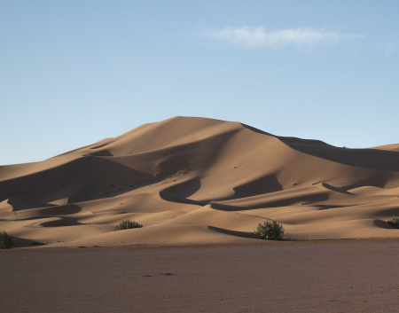 In the Sahara Desert