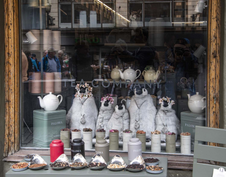 A store window in Stockholm