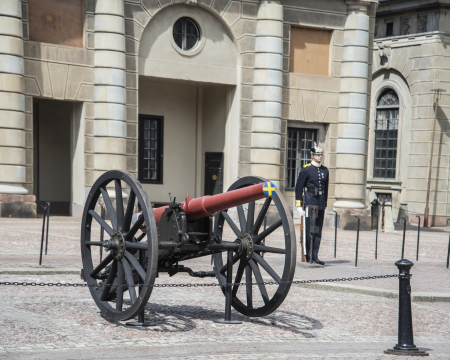 The Swedish Royal Guard