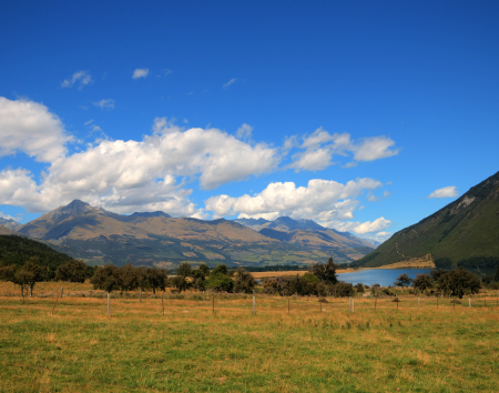 Scenery Near Glenorchie, Queenstown