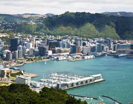 Overlooking Wellington Harbor
