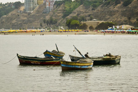 Fishing Boats