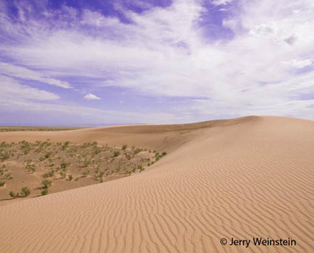 The Gobi Desert