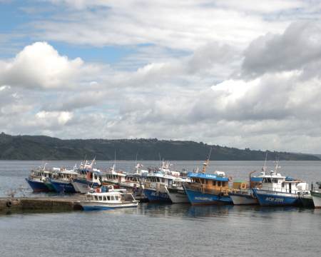 Fishing Boats at Chiloe Island, Chile