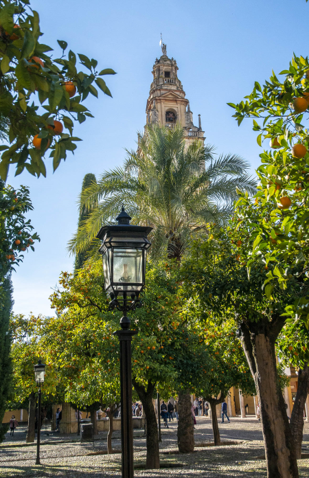 The Cordoba Cathedral