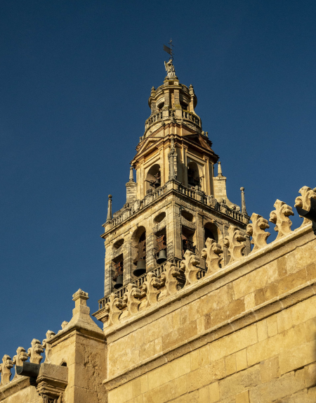The Cordoba Cathedral